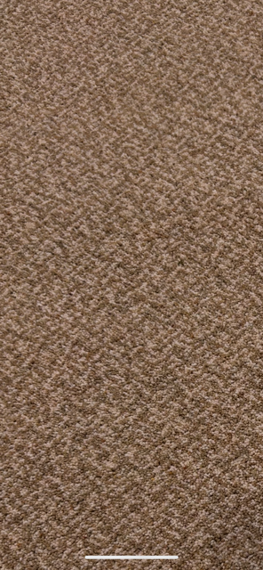 >ADAM SYLVAN SHADOWS FALMOUTH FAWN